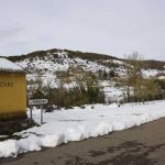 Lee más sobre el artículo Medio Ambiente no aclara la gestión de los pastos públicos.