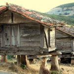 Lee más sobre el artículo Viajar a León COVID 19