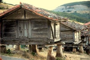 Lee más sobre el artículo Viajar a León COVID 19