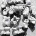 Lee más sobre el artículo Las Tabas