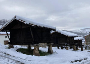 Lee más sobre el artículo Objetivo: ni un hórreo menos